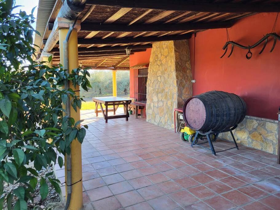 La Buganvilla, Descanso Entre Olivares Hornachuelos Exterior photo